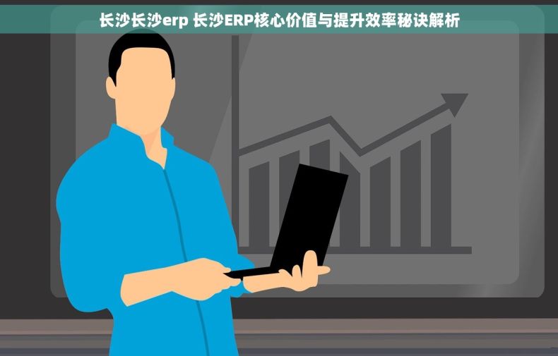 长沙长沙erp 长沙ERP核心价值与提升效率秘诀解析