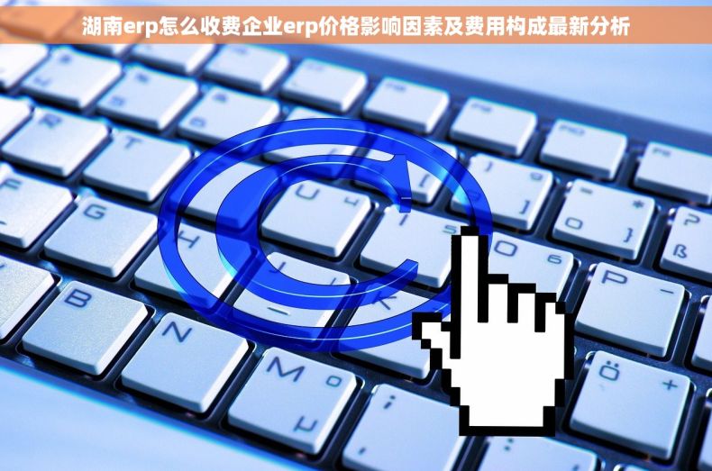 湖南erp怎么收费企业erp价格影响因素及费用构成最新分析
