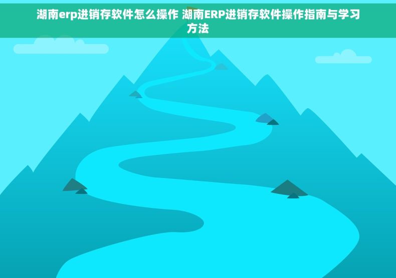 湖南erp进销存软件怎么操作 湖南ERP进销存软件操作指南与学习方法