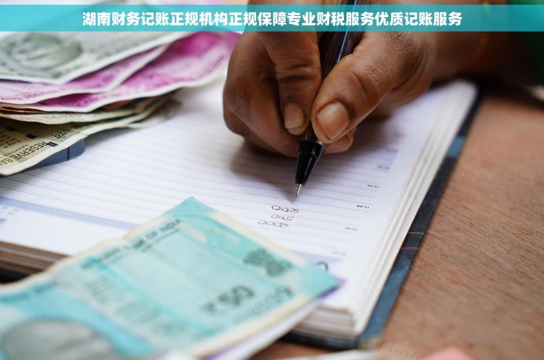 湖南财务记账正规机构正规保障专业财税服务优质记账服务