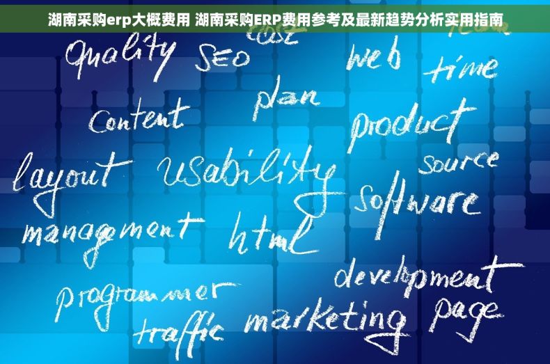 湖南采购erp大概费用 湖南采购ERP费用参考及最新趋势分析实用指南