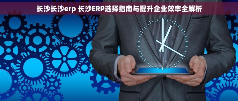长沙长沙erp 长沙ERP选择指南与提升企业效率全解析