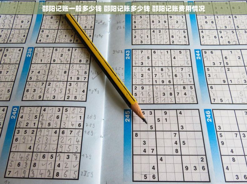邵阳记账一般多少钱 邵阳记账多少钱 邵阳记账费用情况