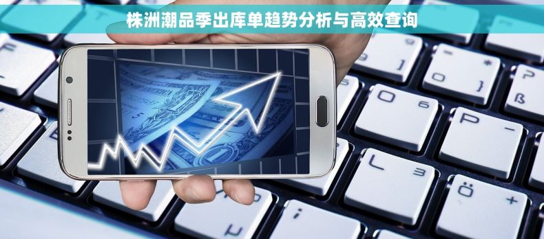 株洲潮品季出库单趋势分析与高效查询