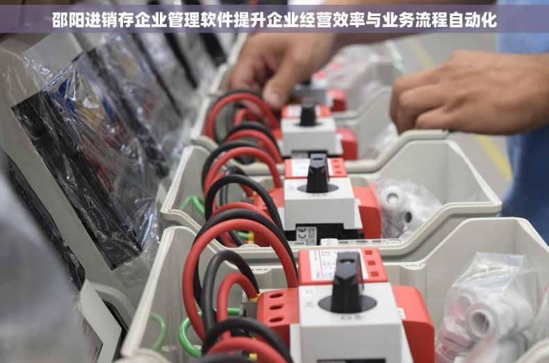 邵阳进销存企业管理软件提升企业经营效率与业务流程自动化