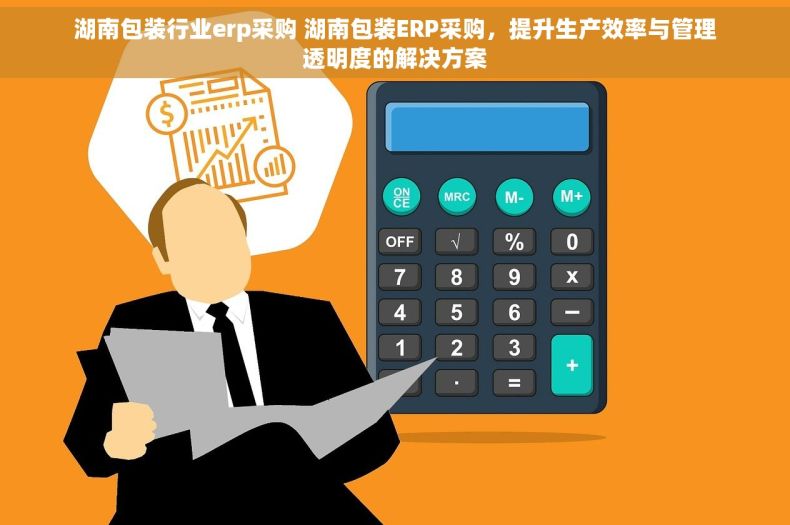 湖南包装行业erp采购 湖南包装ERP采购，提升生产效率与管理透明度的解决方案