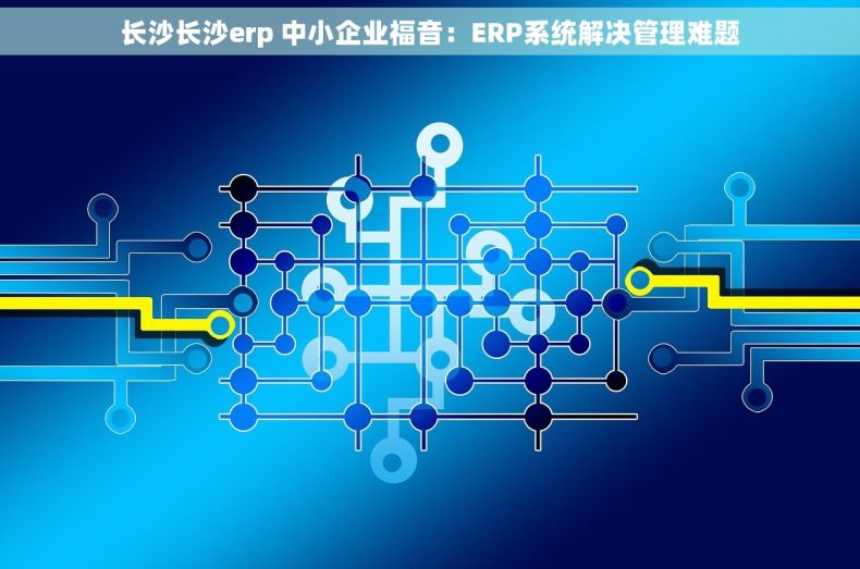 长沙长沙erp 中小企业福音：ERP系统解决管理难题