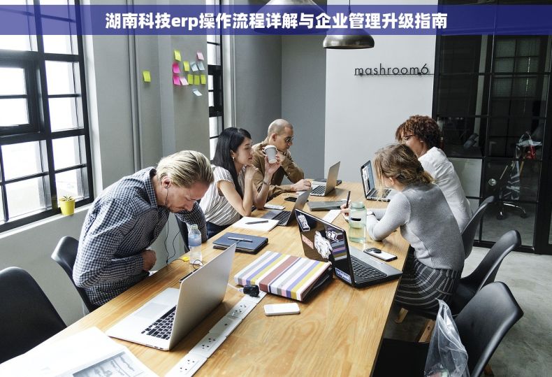 湖南科技erp操作流程详解与企业管理升级指南