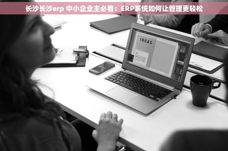 长沙长沙erp 中小企业主必看：ERP系统如何让管理更轻松