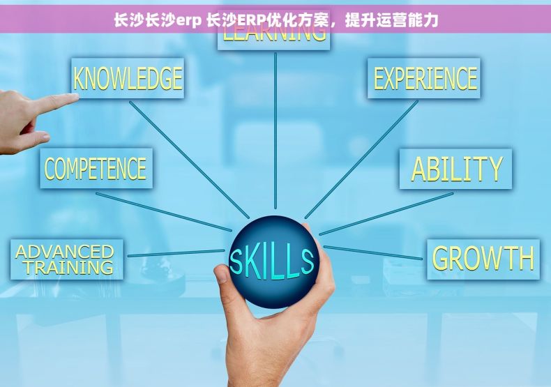 长沙长沙erp 长沙ERP优化方案，提升运营能力