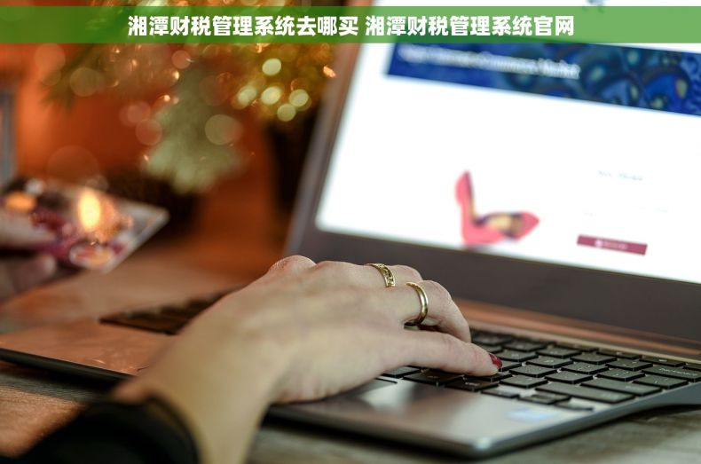 湘潭财税管理系统去哪买 湘潭财税管理系统官网