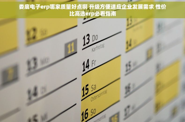 娄底电子erp哪家质量好点啊 升级方便适应企业发展需求 性价比高选erp必看指南