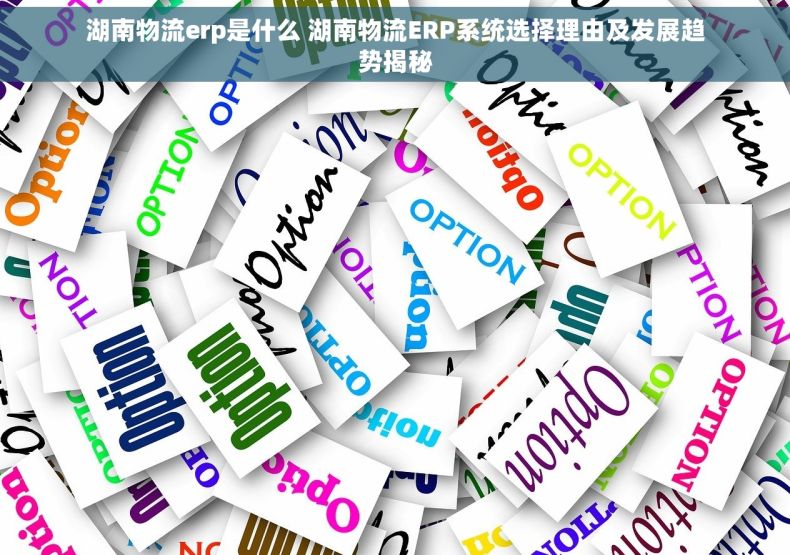 湖南物流erp是什么 湖南物流ERP系统选择理由及发展趋势揭秘