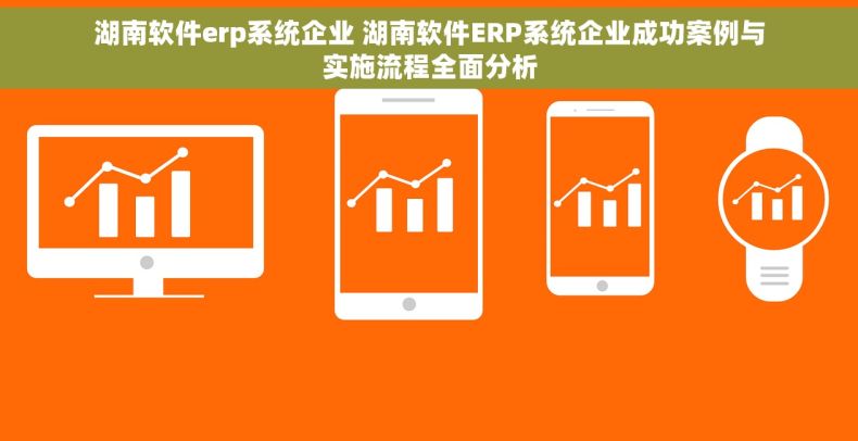 湖南软件erp系统企业 湖南软件ERP系统企业成功案例与实施流程全面分析