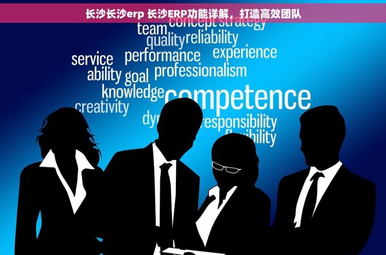长沙长沙erp 长沙ERP功能详解，打造高效团队