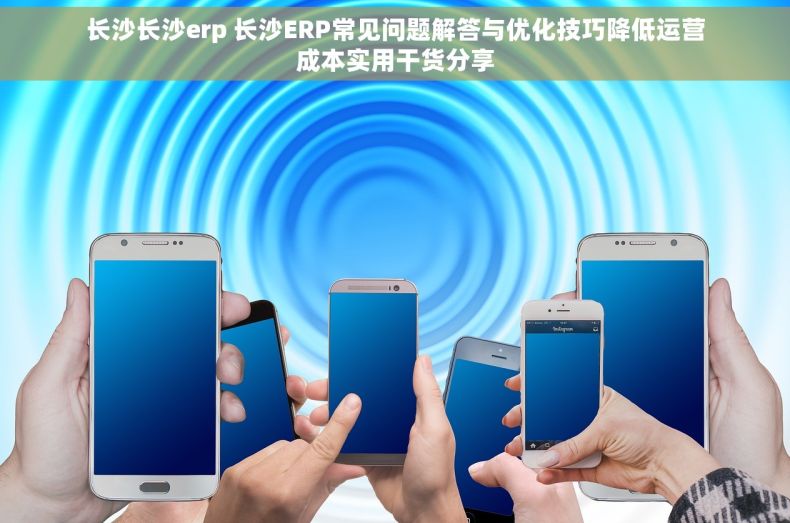 长沙长沙erp 长沙ERP常见问题解答与优化技巧降低运营成本实用干货分享