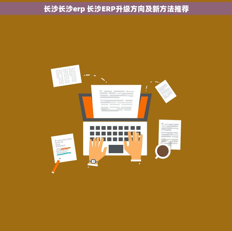 长沙长沙erp 长沙ERP升级方向及新方法推荐