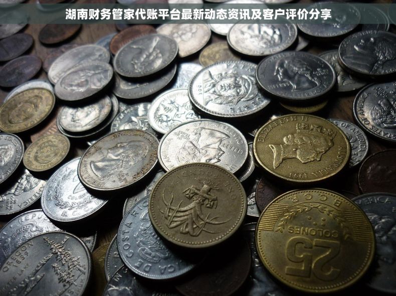湖南财务管家代账平台最新动态资讯及客户评价分享