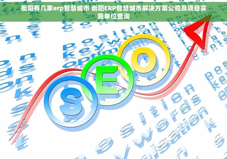 衡阳有几家erp智慧城市 衡阳ERP智慧城市解决方案公司及项目实施单位查询