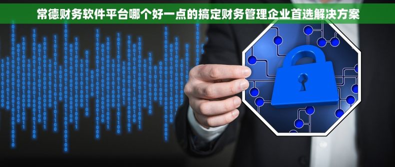 常德财务软件平台哪个好一点的搞定财务管理企业首选解决方案
