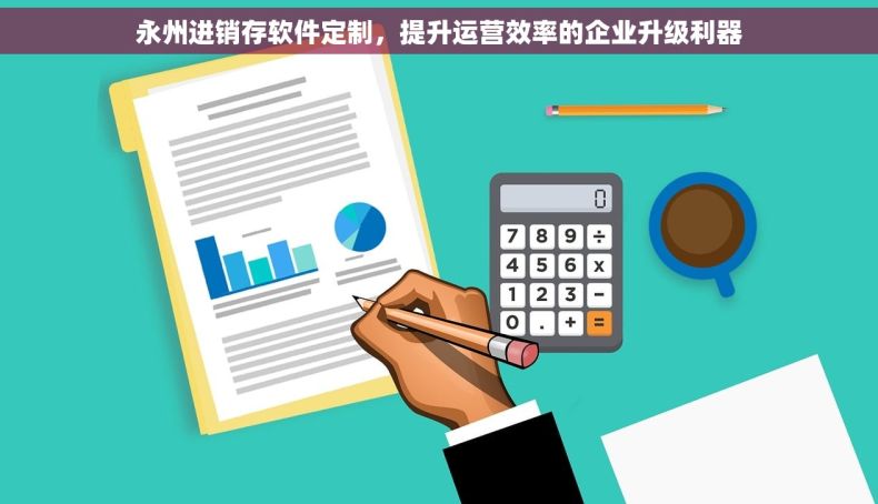 永州进销存软件定制，提升运营效率的企业升级利器