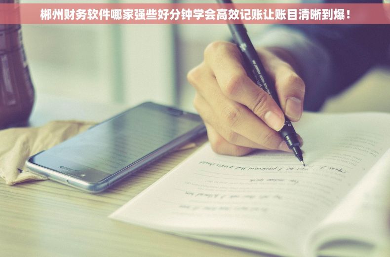 郴州财务软件哪家强些好分钟学会高效记账让账目清晰到爆！