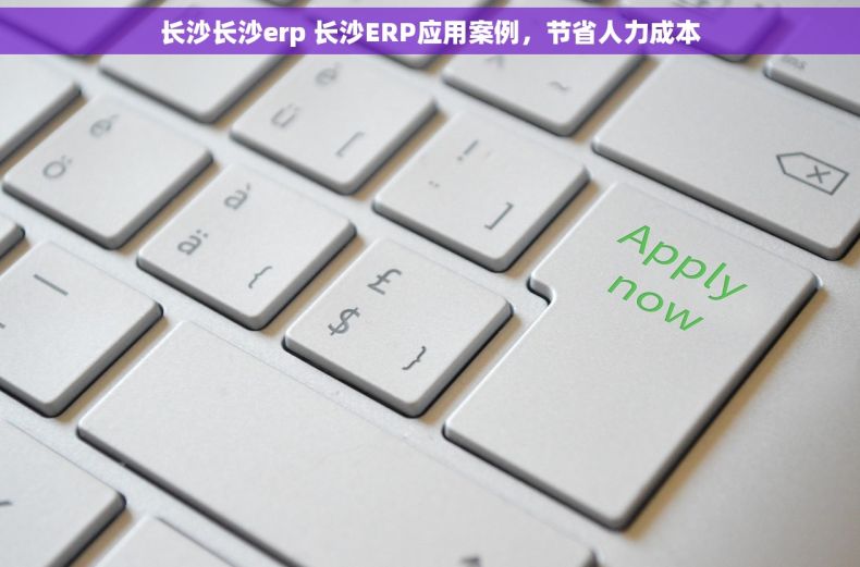 长沙长沙erp 长沙ERP应用案例，节省人力成本