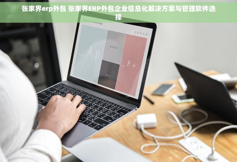 张家界erp外包 张家界ERP外包企业信息化解决方案与管理软件选择