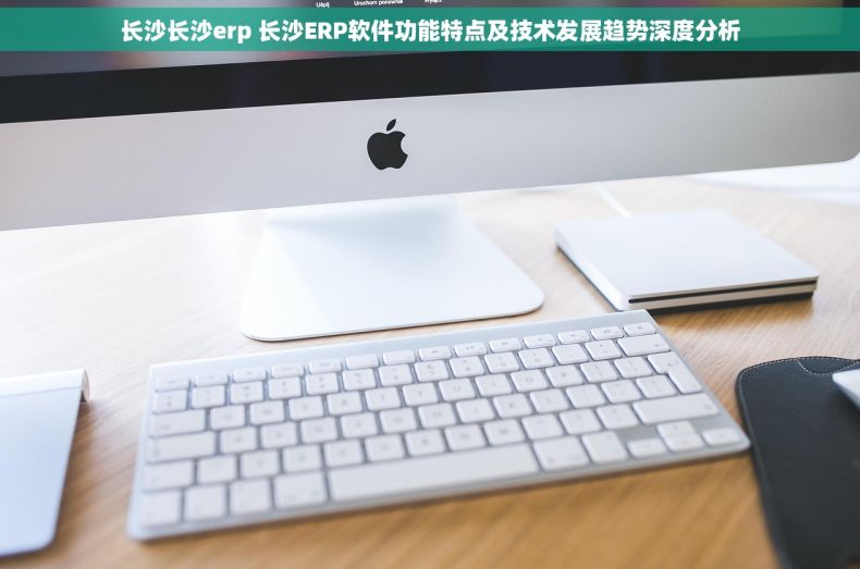 长沙长沙erp 长沙ERP软件功能特点及技术发展趋势深度分析