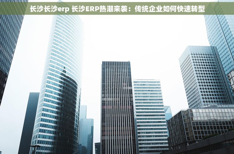 长沙长沙erp 长沙ERP热潮来袭：传统企业如何快速转型
