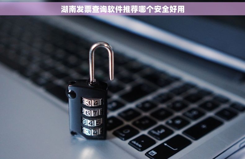 湖南发票查询软件推荐哪个安全好用