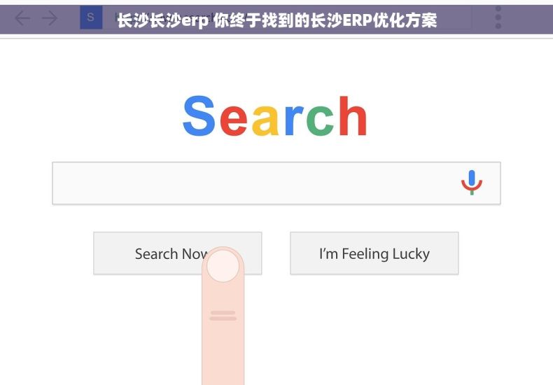 长沙长沙erp 你终于找到的长沙ERP优化方案