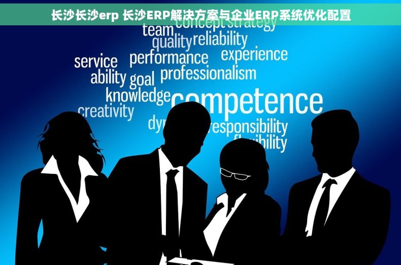 长沙长沙erp 长沙ERP解决方案与企业ERP系统优化配置