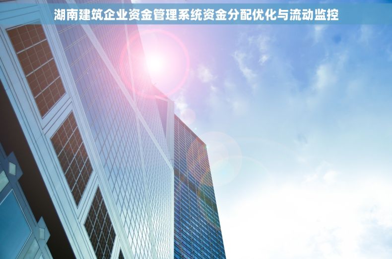 湖南建筑企业资金管理系统资金分配优化与流动监控
