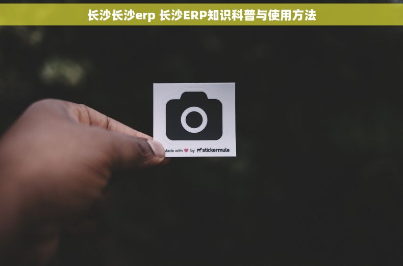 长沙长沙erp 长沙ERP知识科普与使用方法