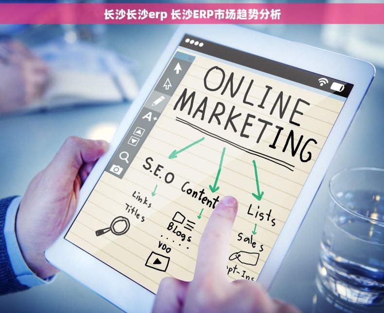 长沙长沙erp 长沙ERP市场趋势分析