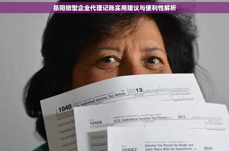岳阳微型企业代理记账实用建议与便利性解析