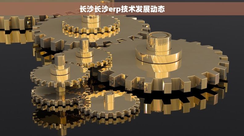 长沙长沙erp技术发展动态