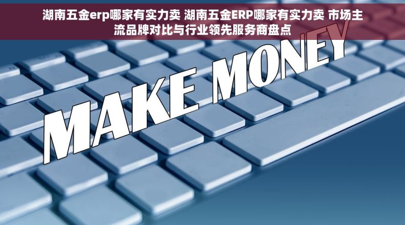 湖南五金erp哪家有实力卖 湖南五金ERP哪家有实力卖 市场主流品牌对比与行业领先服务商盘点