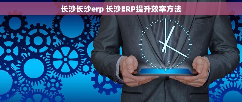 长沙长沙erp 长沙ERP提升效率方法