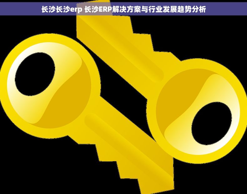 长沙长沙erp 长沙ERP解决方案与行业发展趋势分析