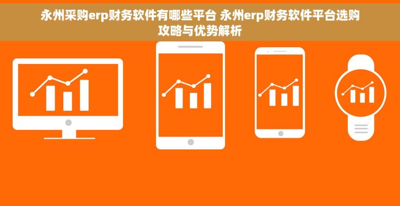 永州采购erp财务软件有哪些平台 永州erp财务软件平台选购攻略与优势解析