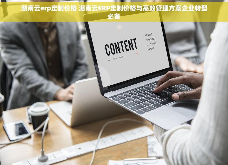 湖南云erp定制价格 湖南云ERP定制价格与高效管理方案企业转型必备