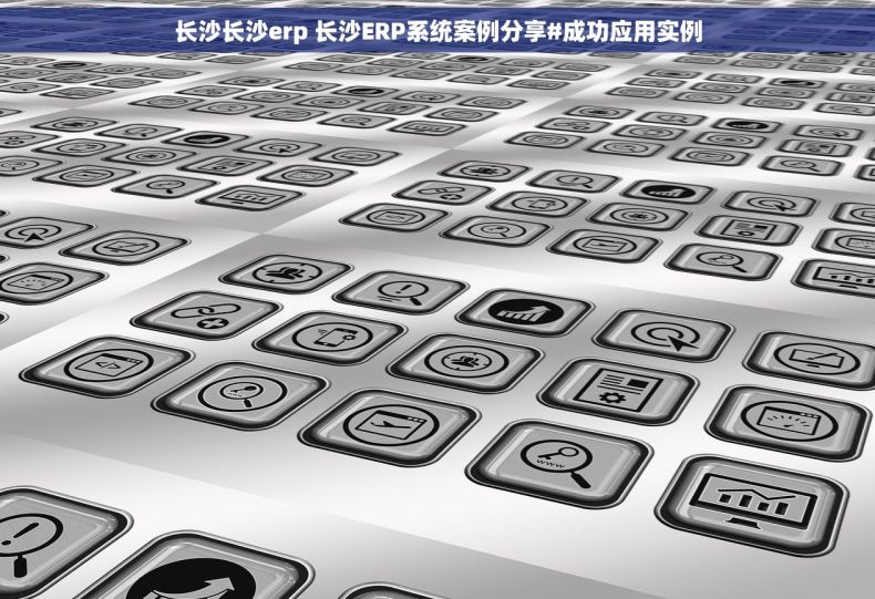 长沙长沙erp 长沙ERP系统案例分享#成功应用实例