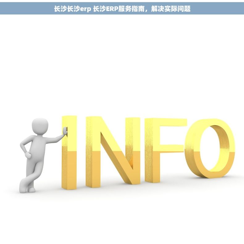 长沙长沙erp 长沙ERP服务指南，解决实际问题