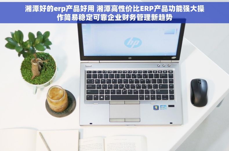 湘潭好的erp产品好用 湘潭高性价比ERP产品功能强大操作简易稳定可靠企业财务管理新趋势