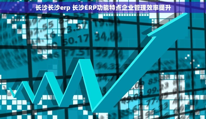 长沙长沙erp 长沙ERP功能特点企业管理效率提升