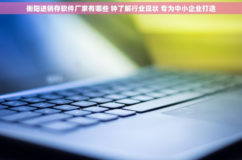 衡阳进销存软件厂家有哪些 钟了解行业现状 专为中小企业打造