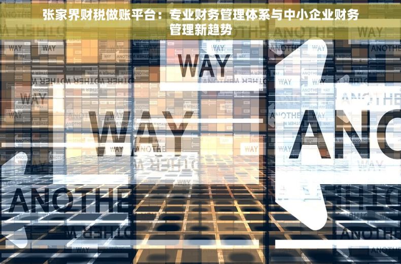 张家界财税做账平台：专业财务管理体系与中小企业财务管理新趋势