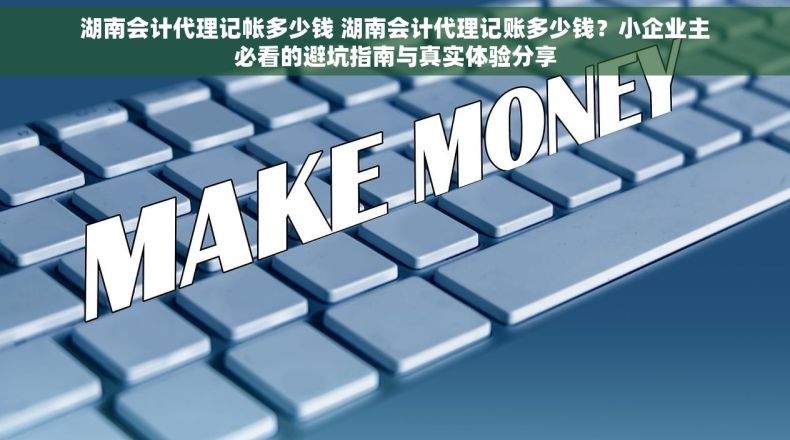 湖南会计代理记帐多少钱 湖南会计代理记账多少钱？小企业主必看的避坑指南与真实体验分享